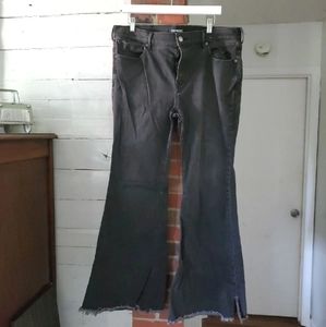 Express bell bottoms